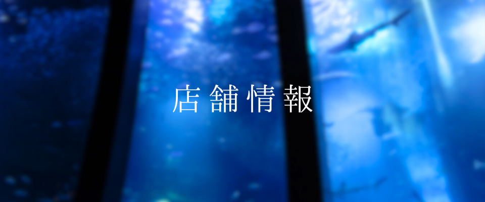 店舗情報